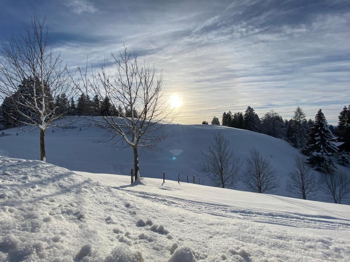 Apartmán Hoamelig Batschuns Exteriér fotografie