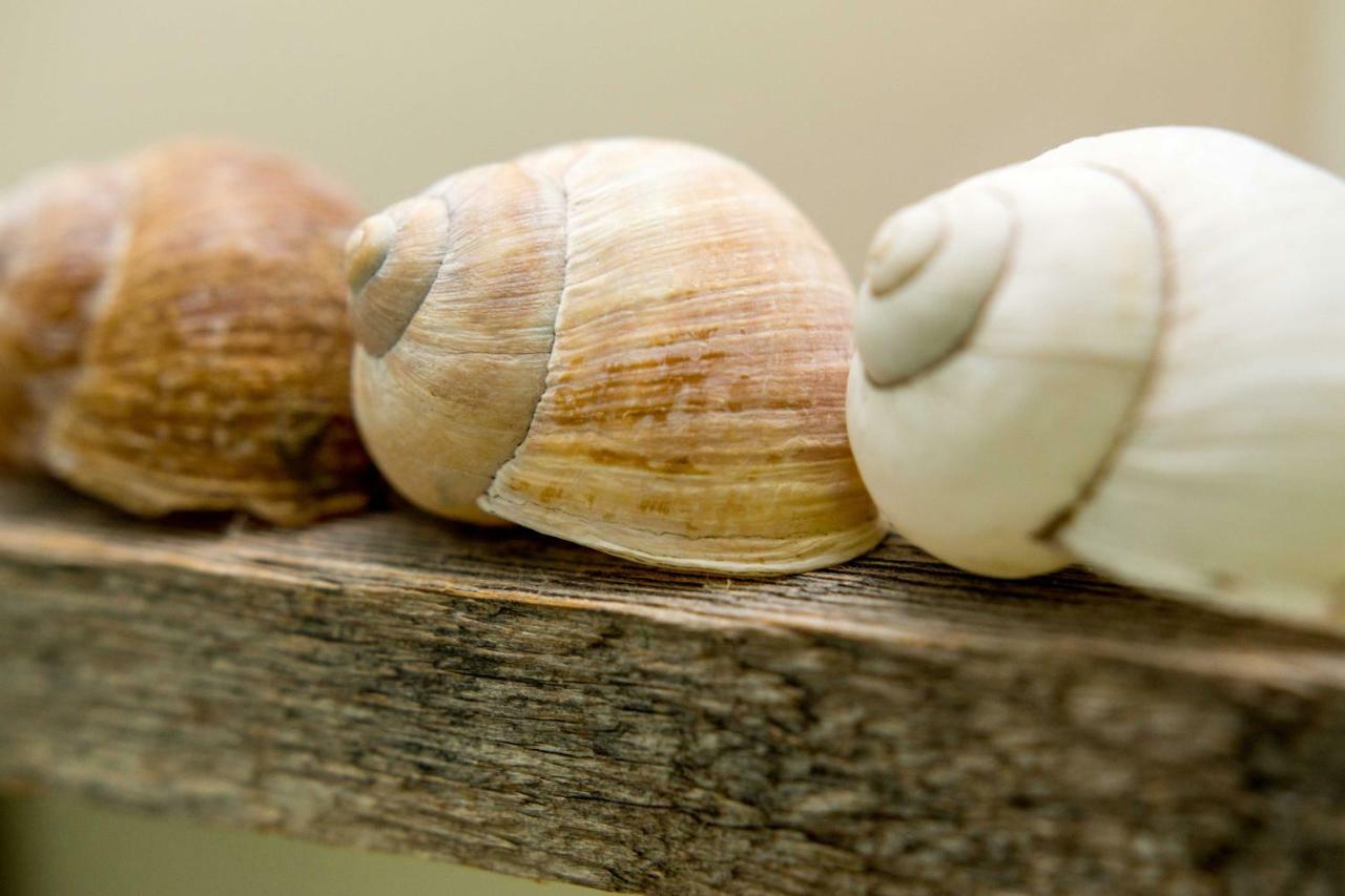 Apartmán Hoamelig Batschuns Exteriér fotografie
